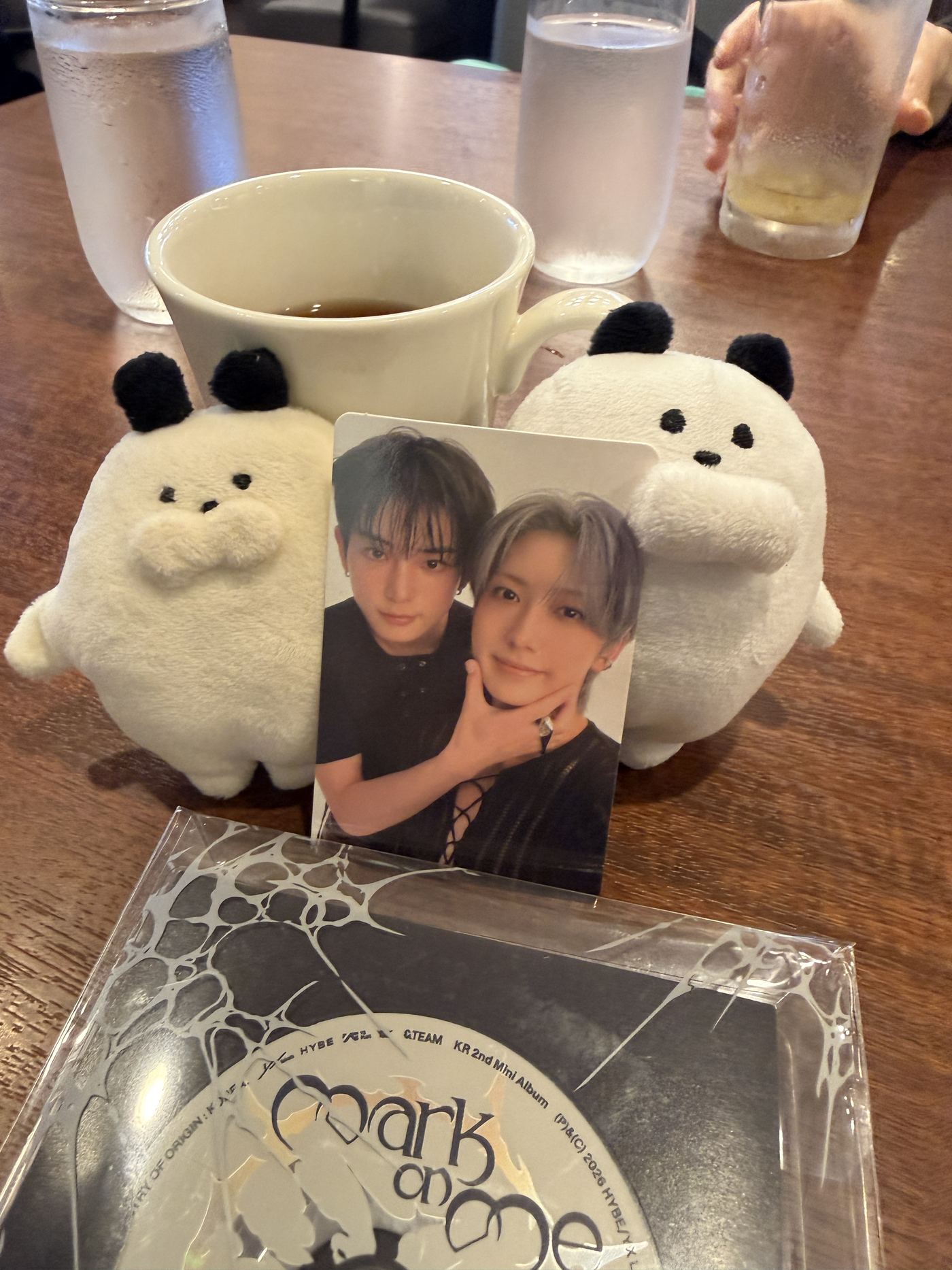 Two small white plush toys with black ears holding up a K-pop photocard beside a cup of coffee, with a CD album case on the table in front